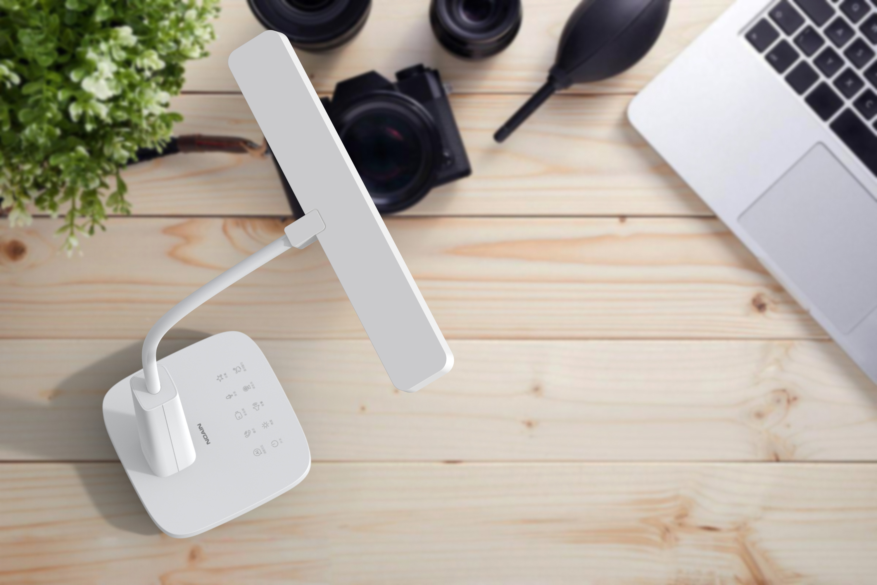 春光明媚，一起曬曬太陽吧！