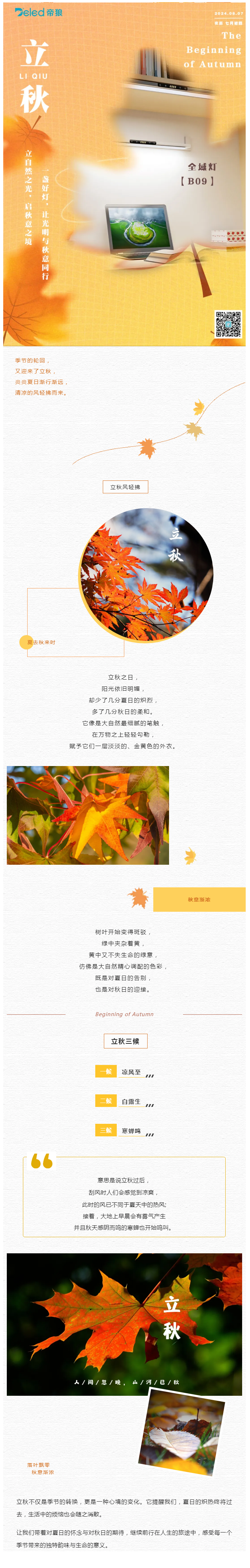 立自然之光，啟秋意之境